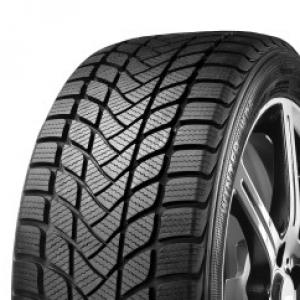 Delinte Winter WD6 205/50R17 93H Dubbfritt