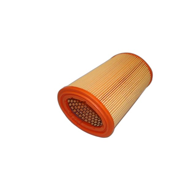 Luftfilter - P38740 - citroën, nissan, peugeot, rover - OE 16546-6F900