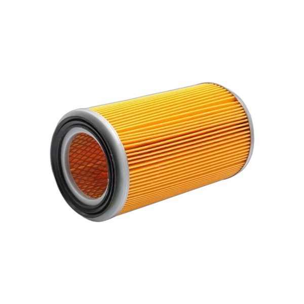 Luftfilter - P34697 - ford maverick, nissan pick up, terrano ii, terrano van ii - OE 165463S903, 165467F000, 16546-7F000