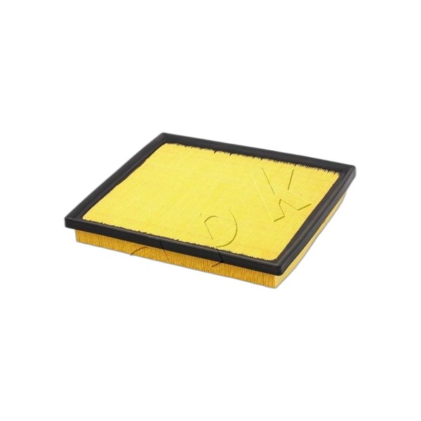 Luftfilter - P509613 - lexus gs, is ii, rc - OE 1780138020, 17801-38020, 1780138021
