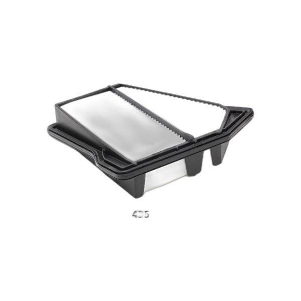 Luftfilter - P509615 - honda cr-v iii - OE 17220RFWG01, 17220-RFW-G01