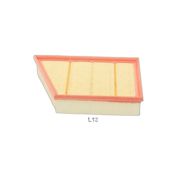 Luftfilter - P511317 - jaguar, land rover - OE BJ329601AA, LR029078