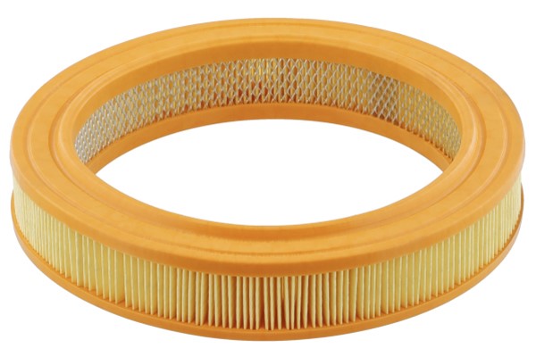 Luftfilter - P24664 - ford escort iv, escort express iv, escort turnier iv, fiesta ii, fiesta iii - OE 6 080 390, 79BF9601AA, EFA224