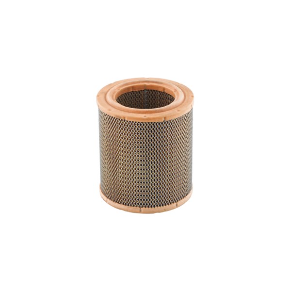 Luftfilter - P27451 - citroën, fiat, peugeot - OE 1444 EX, 1444 EY, 1444 WZ