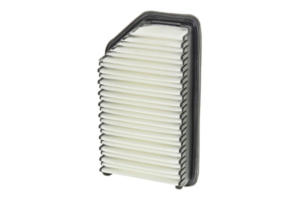 Luftfilter - P577238 - hyundai accent iv, accent sedan iv, kia rio iii, rio sedan iii, soul i - OE 28113 1R100