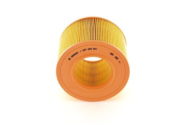 BOSCH Luftfilter - P315679 - renault - OE 1444 K4, 5025068, 77 01 033 713