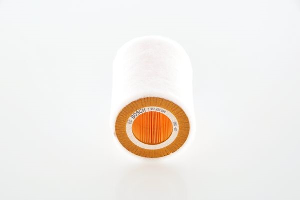 BOSCH Luftfilter - P315779 - smart roadster, roadster coupé - OE 000 9996 V001, 000 9997 V001, 160 094 01 04