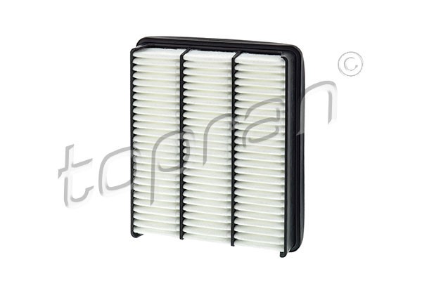 Luftfilter - P485017 - hyundai trajet, trajet skåp/stor limousine