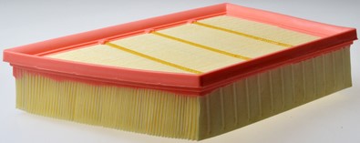 Luftfilter - P594653 - land rover - OE BJ329601AA, LR029078