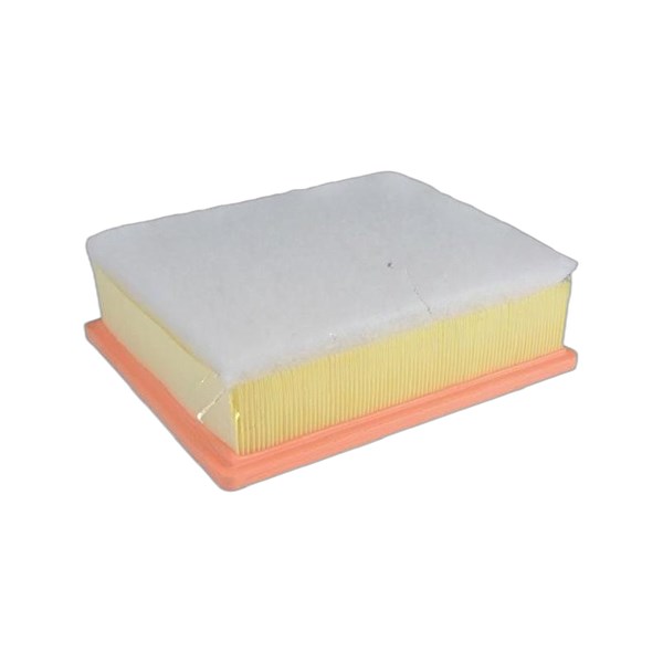 Luftfilter - P1034756 - fiat, nissan, opel, renault - OE 16 54 601 07R, 16 54 608 35R, 16 54 658 12R
