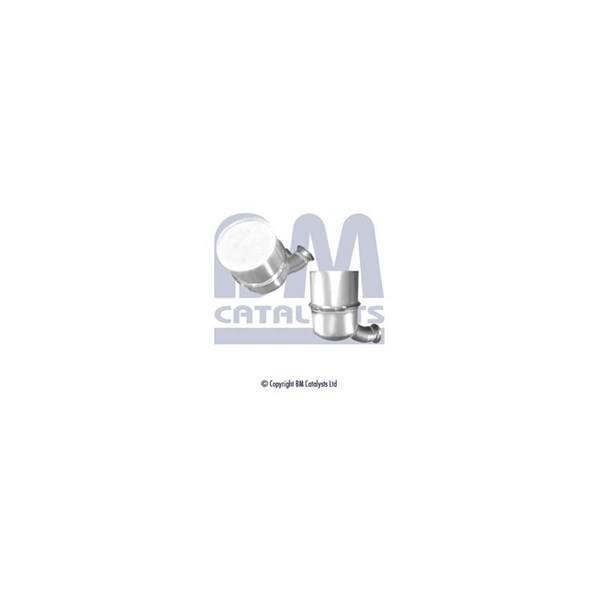Dieselpartikelfilter - P1026961 - citroën, peugeot - OE 1609531880, 1609532780, 1731XK