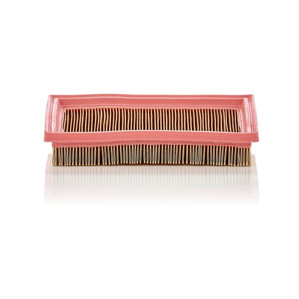 MANN-FILTER Luftfilter - P1049508 - ford fiesta v, fiesta van v, fusion, mazda 2 - OE 1140 778, 1729 854, 2S61-9601-C1A