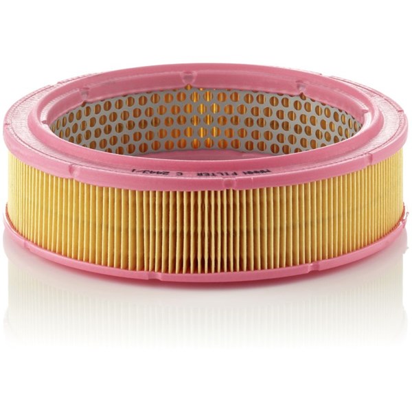 MANN-FILTER Luftfilter - P1049555 - abarth, fiat, lada, lancia, morgan, seat - OE 1498 427, 21010-1109-100-01, 21010-1109-100-82