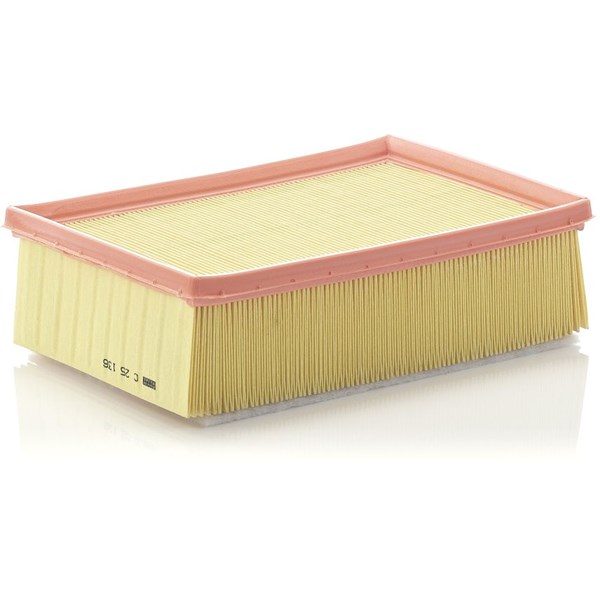MANN-FILTER Luftfilter - P1049583 - citroën, peugeot - OE 1444 CT, 1444 FG, 1444 TA
