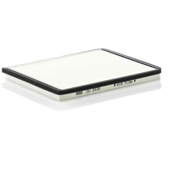 MANN-FILTER Kupefilter - P1050020 - ford, nissan - OE 27 891-2F000, 27893-2F900, 27893-9F500 KE