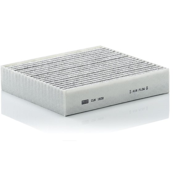 MANN-FILTER Kupefilter - P1050099 - mitsubishi, smart - OE 001 3871 V 001, 13871V002, 454 830 00 18