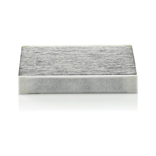 MANN-FILTER Kupefilter - P1050105 - jaguar xf i, xf sportbrake, xj - OE C2Z 6525, MF 145570-0380