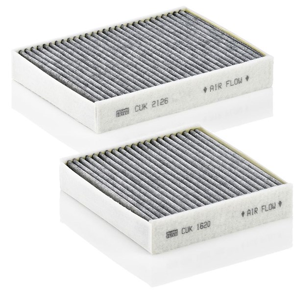 MANN-FILTER Kupefilter - P1050108 - citroën, ds, peugeot - OE 1609428180, 6447 VX, 6479 90