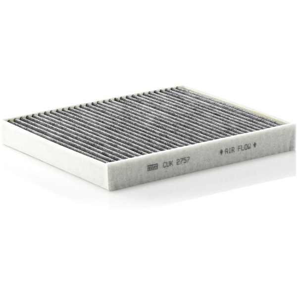 MANN-FILTER Kupefilter - P1050173 - chevrolet, opel, vauxhall - OE 1718042, 9118699, 95528290