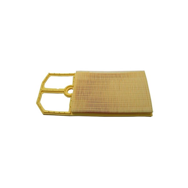 Luftfilter - P1091300 - seat, skoda, vw - OE 036129620C, 036129620F