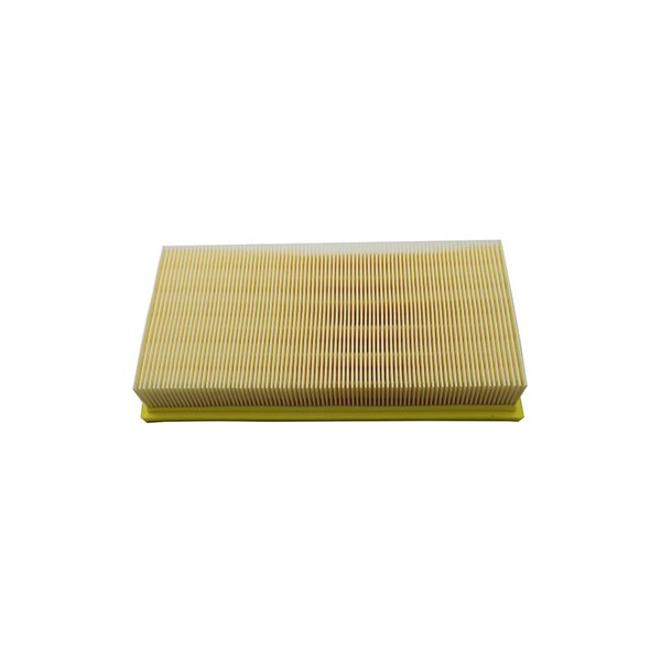 Luftfilter - P1091305 - seat cordoba, ibiza iii, skoda fabia i, fabia combi i, fabia praktik i, fabia sedan i, roomster, vw polo iv - OE 03E129620