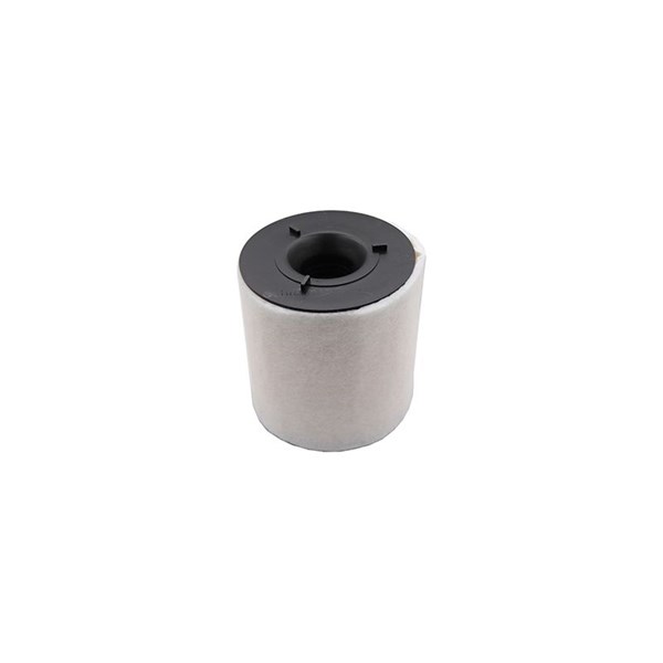 Luftfilter - P1091332 - audi, seat, skoda, vw - OE 6R0129620A
