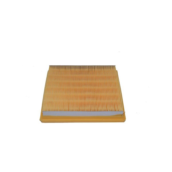 Luftfilter - P1091339 - seat, skoda, vw - OE 04E129620A, 04E129620C