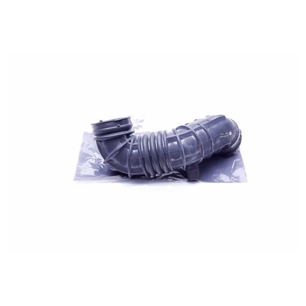 ESEN SKV Insug, luftfilter - P1129989 - mini mini, cabriolet - OE 13721477839