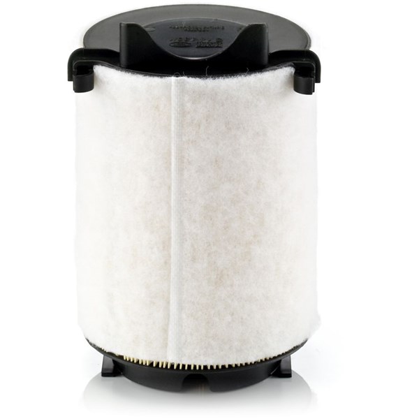 MANN-FILTER Luftfilter - P1183423 - audi, seat, skoda, vw - OE 1K0 129 607 C, 1K0 129 620 C