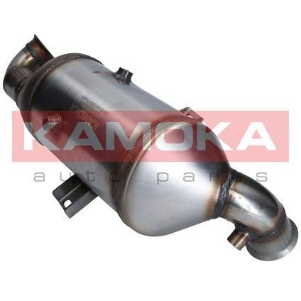 Dieselpartikelfilter - P1252447 - citroën, mini, peugeot - OE 1609159680, 1731EN, 1731EP