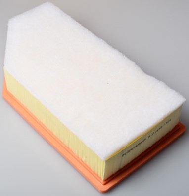 Luftfilter - P1250462 - citroën c5 iii, c5 break iii, c6, peugeot 407, 407 coupé, 407 sw - OE 1444QA, 1444QK, 1444WL