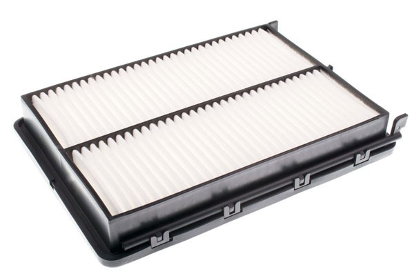Luftfilter - P1249653 - hyundai santa fe iv, kia sorento iii - OE 28113-A9100