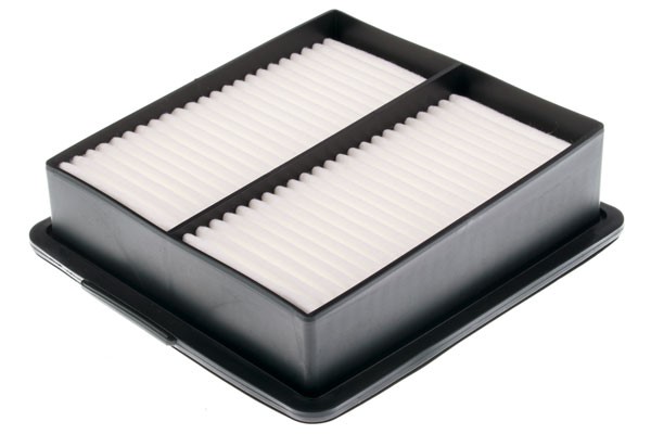 Luftfilter - P1251125 - nissan murano ii, murano van ii - OE 165461AT0A