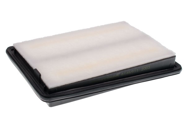Luftfilter - P1250343 - nissan qashqai ii, renault kadjar, koleos ii - OE 16 50 04E A0C, 16 54 670 33R, 165464EA0C