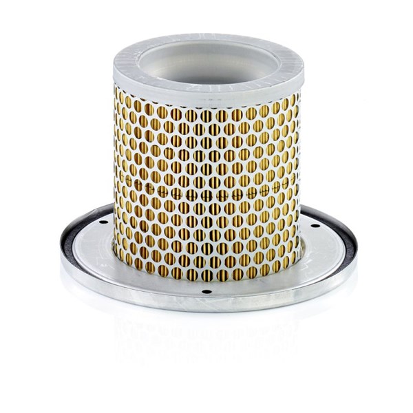 MANN-FILTER Sekundärluftfilter - P1274583 - opel corsa b, rover 800 halvkombi, seat 124, skoda fabia praktik i, vw transporter t5 skåp