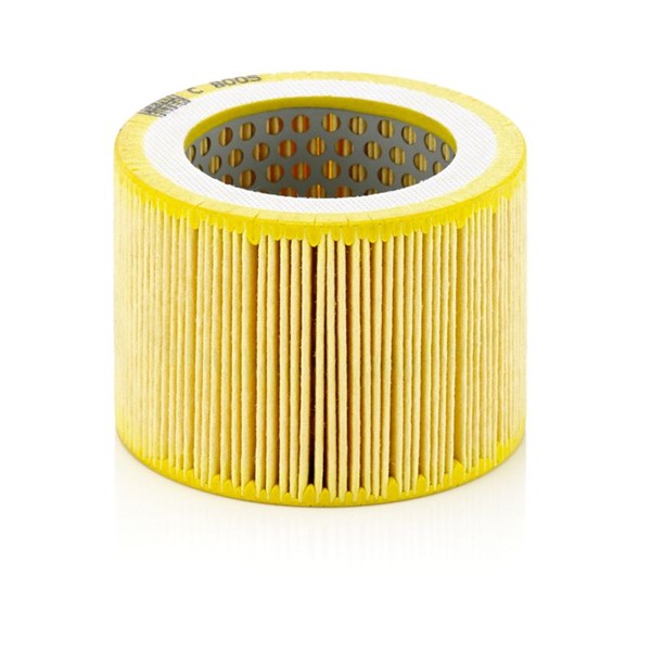 MANN-FILTER Luftfilter - P1275291 - 1275291