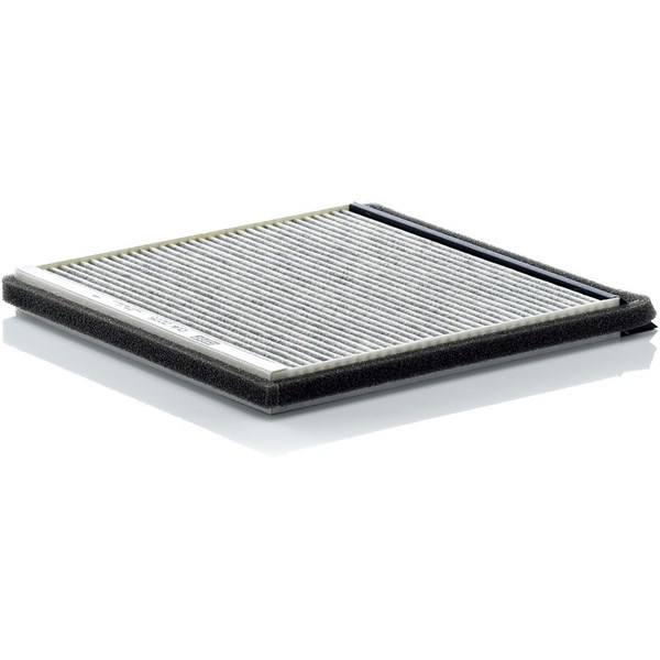MANN-FILTER Kupefilter - P1275649 - citroën, peugeot - OE 6441 EH, 6447 PF, 6447 SR