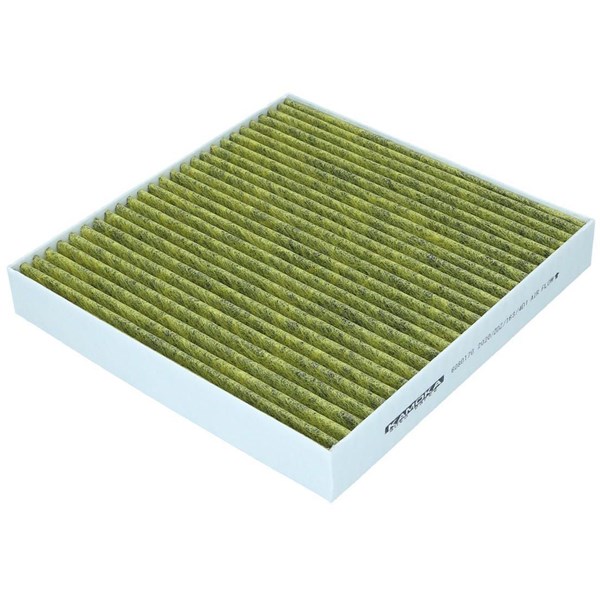 Kupefilter - P1247516 - renault laguna ii, laguna grandtour ii, vel satis - OE 272779759R, 7701048749, 7701049749