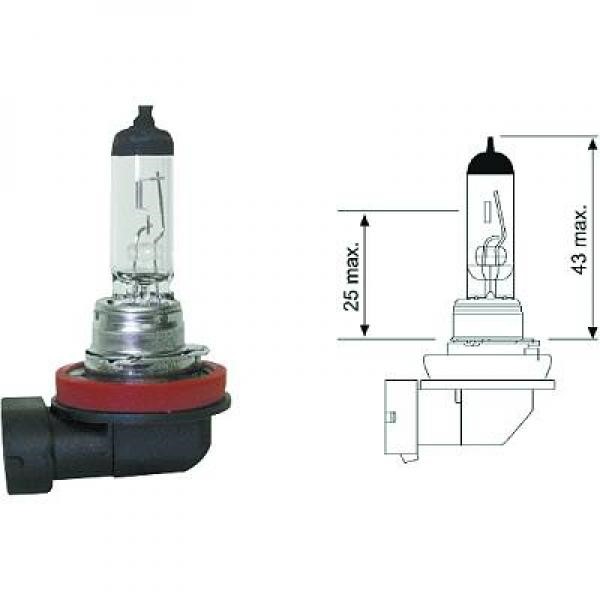 DIEDERICHS Halogenlampa DIEDERICHS Long Life H11 PGJ19 - P1288184 - abarth, alpina, audi, bmw, citroën, dacia, daihatsu, fiat, ford, honda, iveco, jag