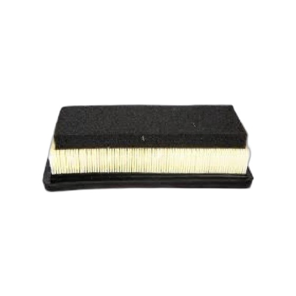 Luftfilter - P1439913 - 1439913 - OE 0313AAZ00891N