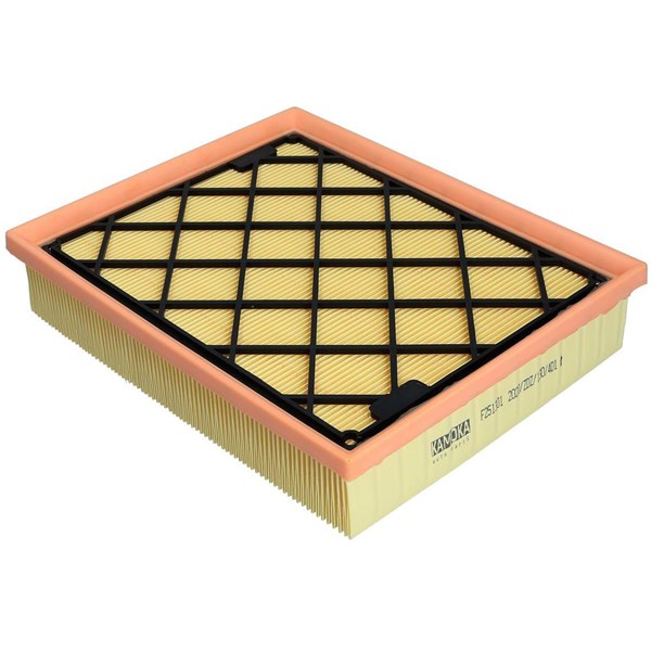 Luftfilter - P1246987 - ford, ford usa - OE 1865085, 5183030, 5243186