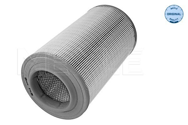 MEYLE Luftfilter - P1607787 - citroën, fiat, peugeot - OE 1349042080, 1359643080, 1399864080