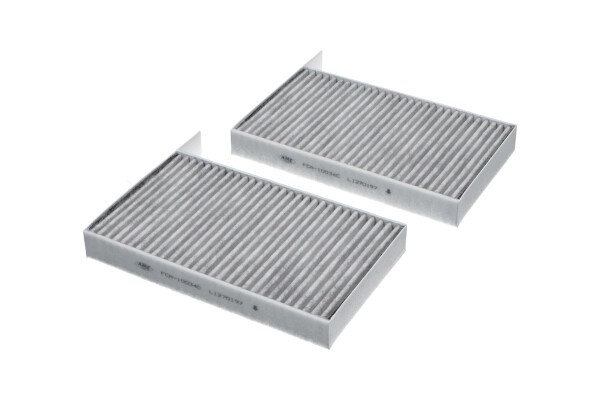 AMC FILTER Kupefilter - P1506052 - tesla model 3, model y - OE 110768100A