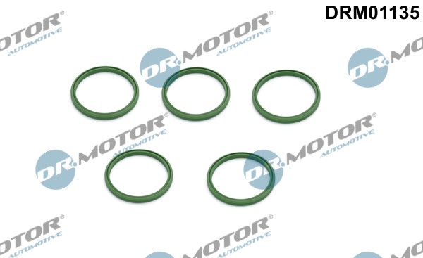 DR.MOTOR AUTOMOTIVE Insug, luftfilter - P1723598 - audi, seat, skoda, vw - OE 1J0145117, 1J0145117J, 3C0145117