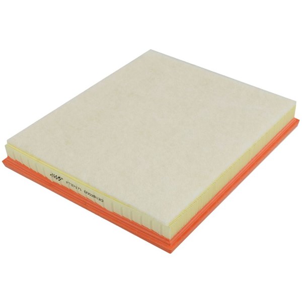FAST Luftfilter - P1788539 - ford - OE 2011999, 2320832, GK219601AA