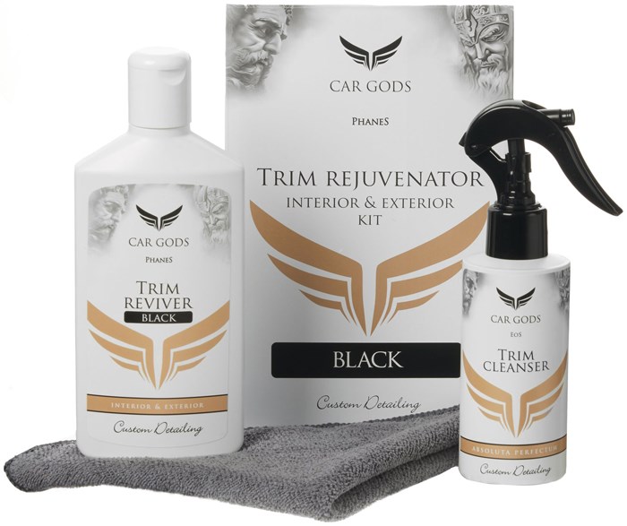 CARGODS & Exterior Trim Rejuvenator Kit - Black Interi - P1837390 - 1837390