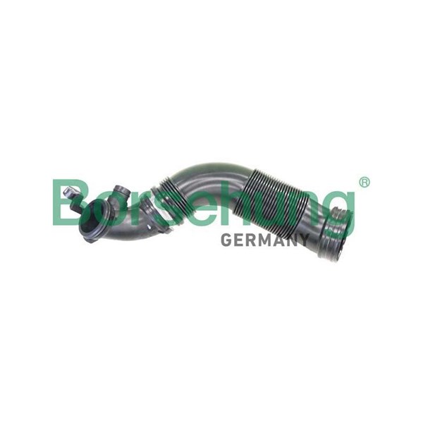 BORSEHUNG Insug, luftfilter - P1861339 - audi, seat, skoda, vw - OE 5Q0129654AE, 5Q0129654AF, 5Q0129654P