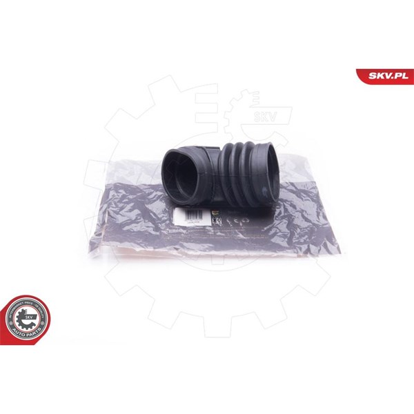 ESEN SKV Insug, luftfilter, Fram - P1878838 - bmw - OE 13711436162, 1436162