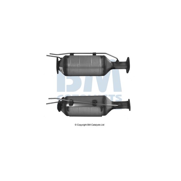 Dieselpartikelfilter - P2028038 - ford, volvo - OE 1306079, 1310191, 1361317