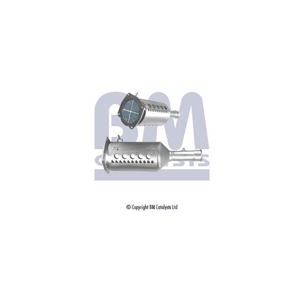 Dieselpartikelfilter - P2028116 - citroën c4 i, c4 coupé, peugeot 308 i, 308 cc, 308 sw i - OE 1731QG, 174036